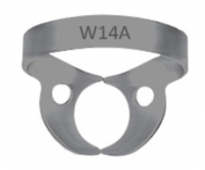 Clamp #W14A-- Molar Wingless, Large Partially Erupted